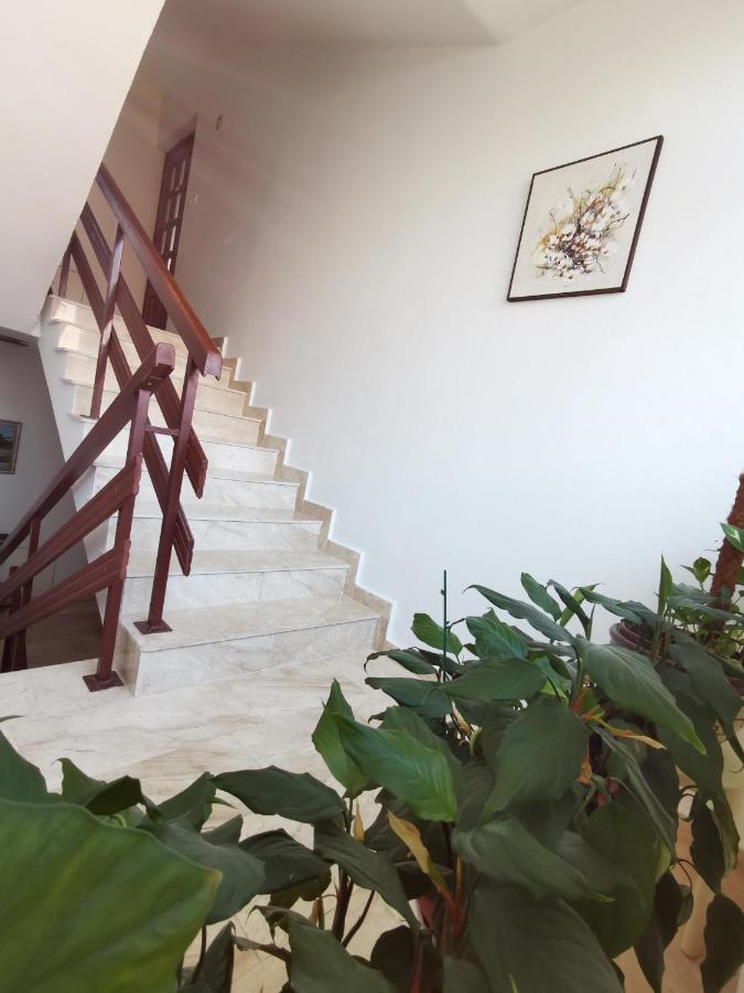 Apartment Kamen Novi Vinodolski Εξωτερικό φωτογραφία